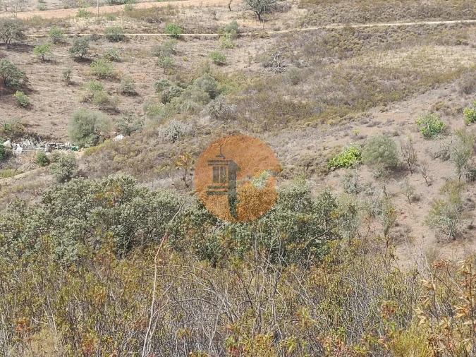 Terreno para Venda em Azinhal Foto 12