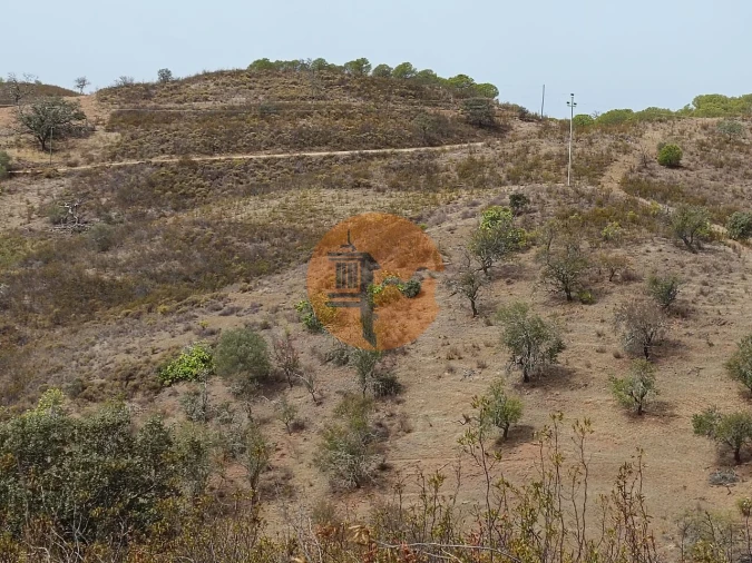 Terreno para Venda em Azinhal Foto 13