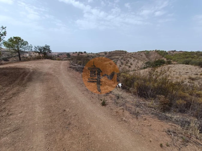 Terreno para Venda em Azinhal Foto 15