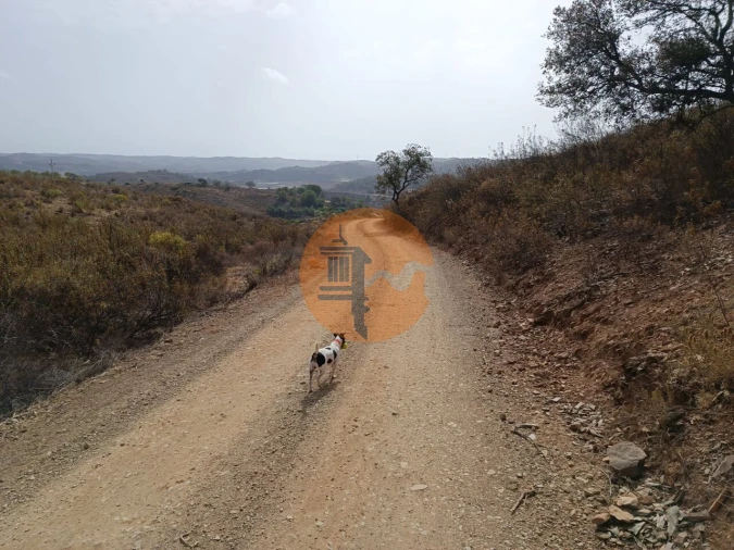 Terreno para Venda em Azinhal Foto 26
