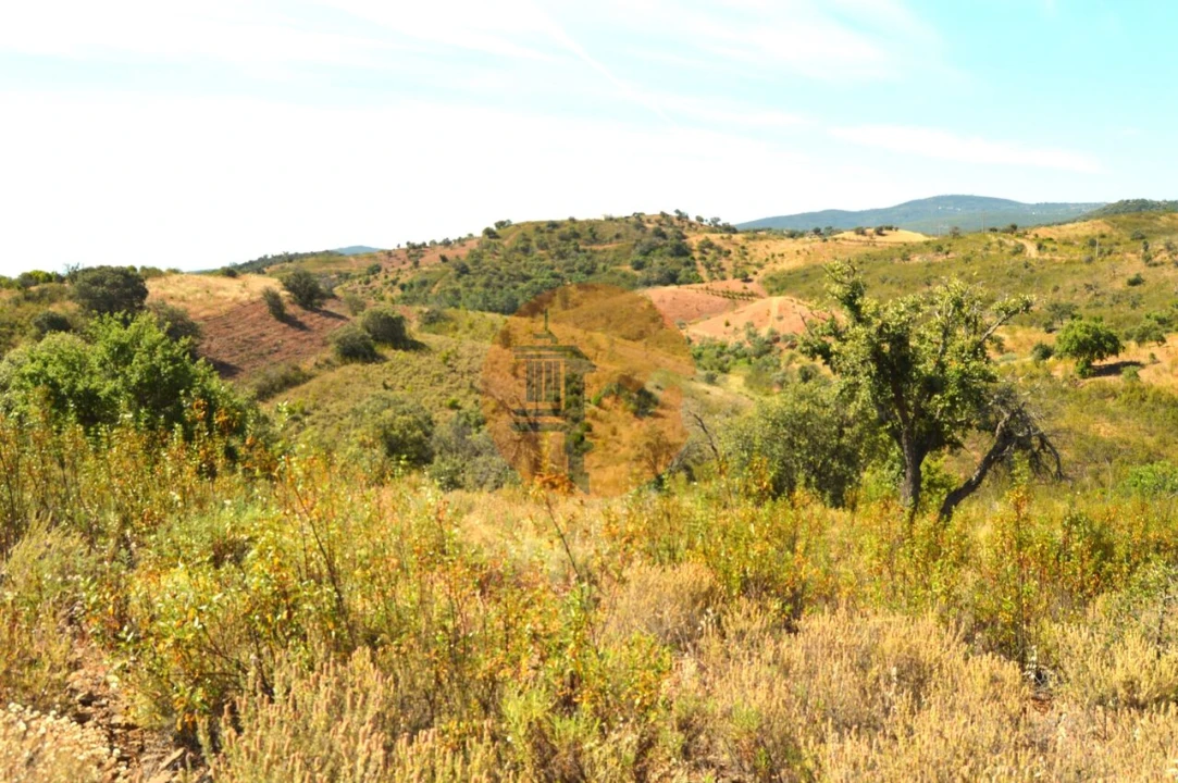 Terreno para Venda em Santa Catarina da Fonte do Bispo Foto 4