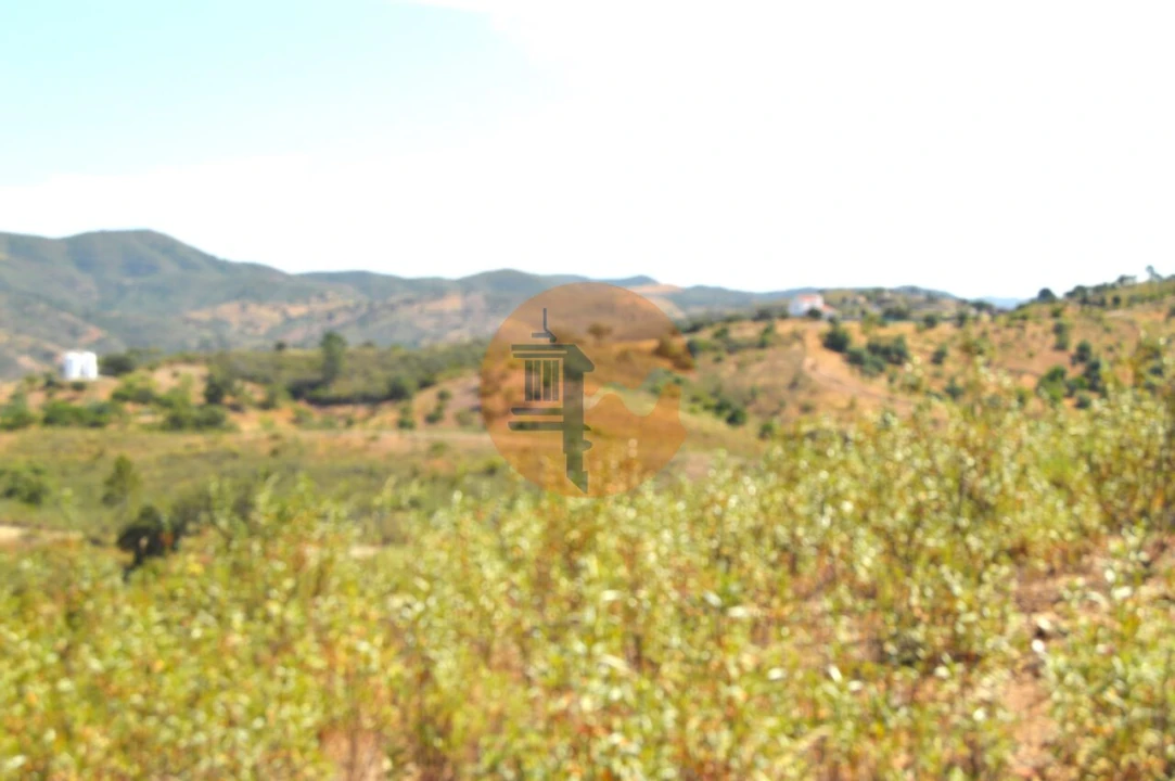 Terreno para Venda em Santa Catarina da Fonte do Bispo Foto 23