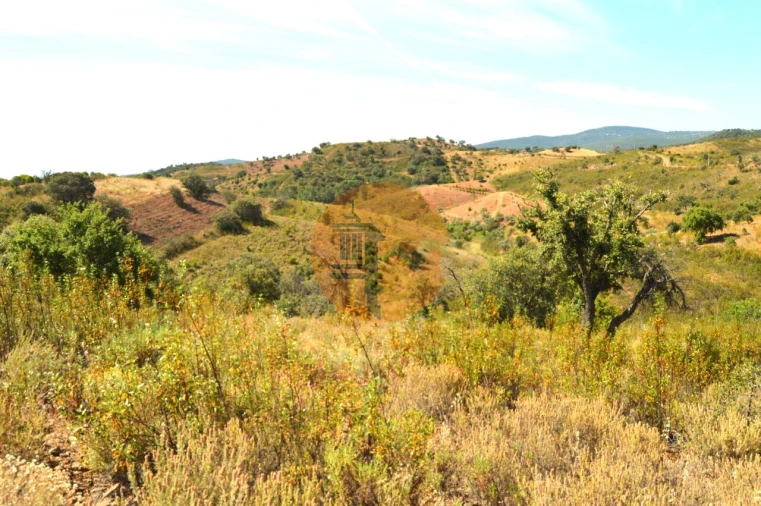 Terreno para Venda em Santa Catarina da Fonte do Bispo Foto 4