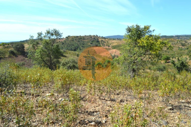 Terreno para Venda em Santa Catarina da Fonte do Bispo Foto 8