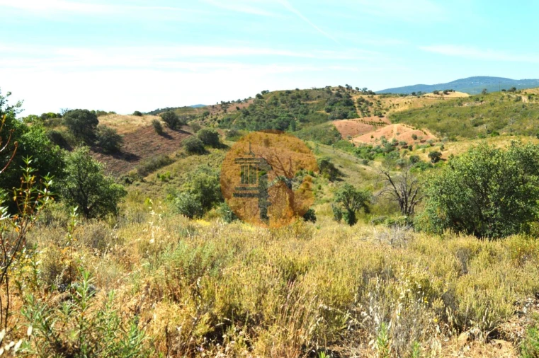 Terreno para Venda em Santa Catarina da Fonte do Bispo Foto 11