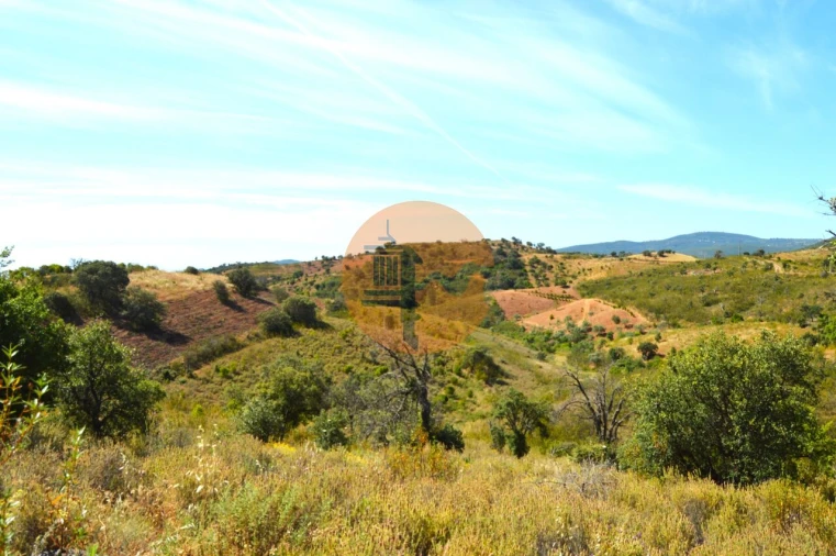 Terreno para Venda em Santa Catarina da Fonte do Bispo Foto 13