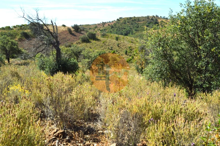 Terreno para Venda em Santa Catarina da Fonte do Bispo Foto 16