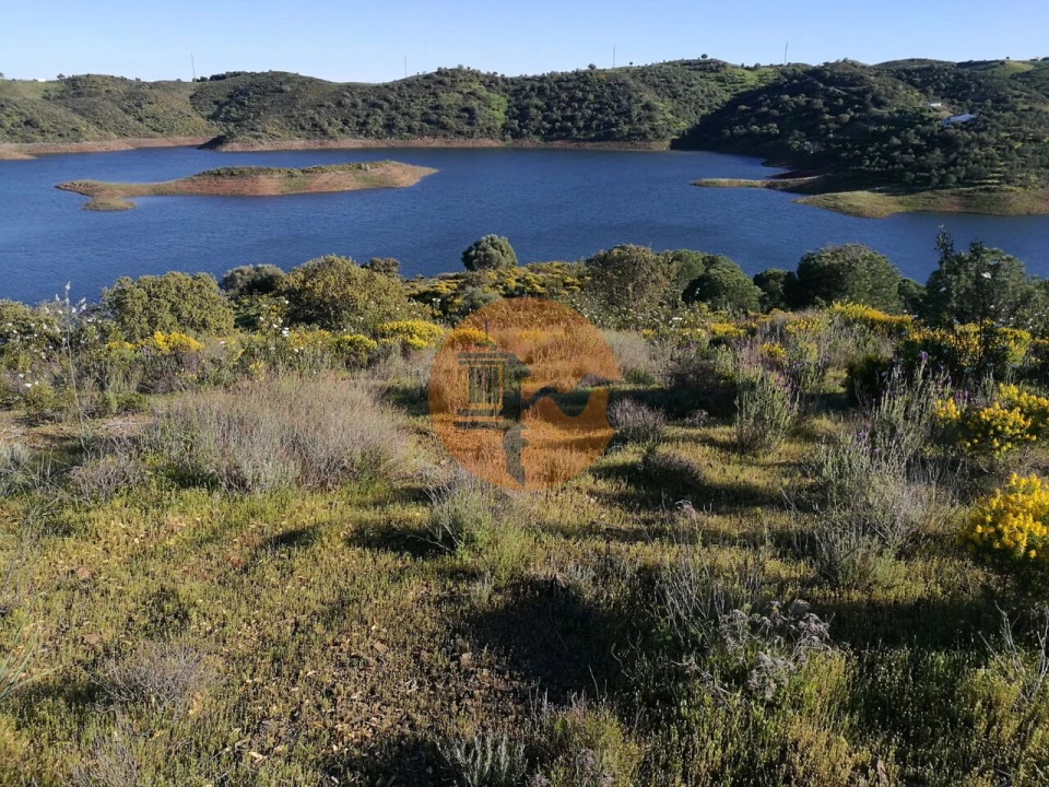 Terreno para Venda em Azinhal Foto 17