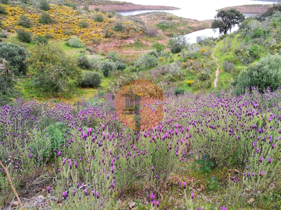 Terreno para Venda em Azinhal Foto 18