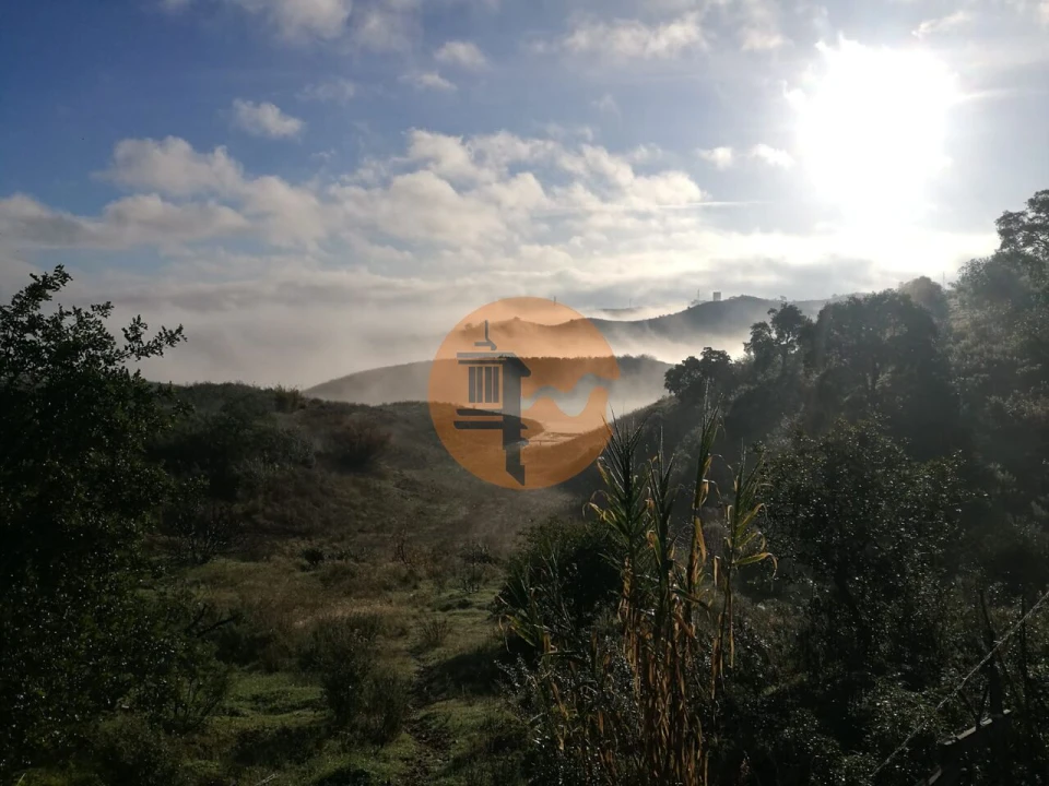 Terreno para Venda em Azinhal Foto 19
