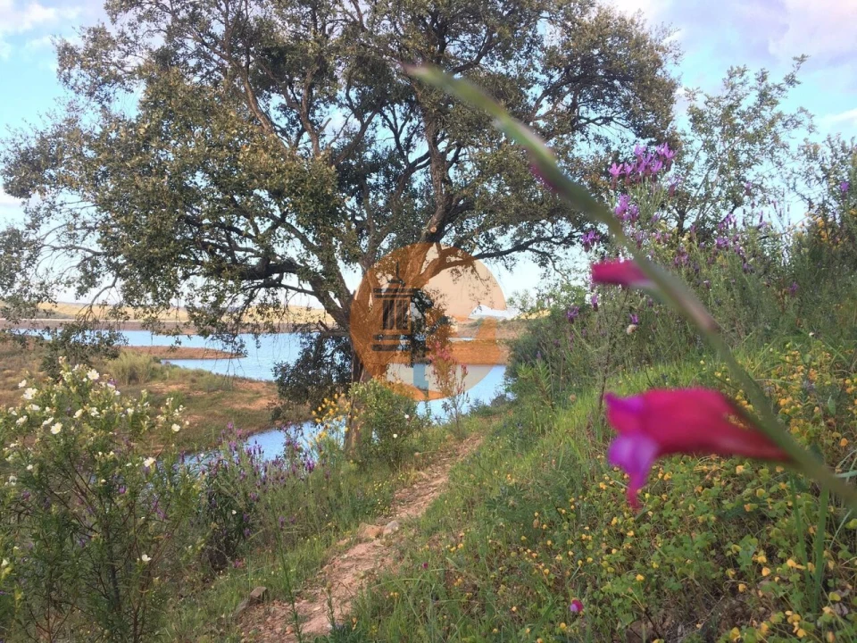 Terreno para Venda em Azinhal Foto 29
