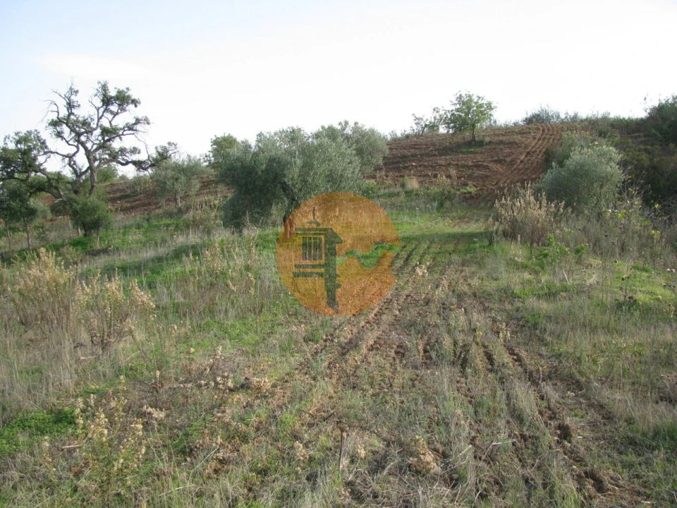Terreno para Venda em Azinhal Foto 35