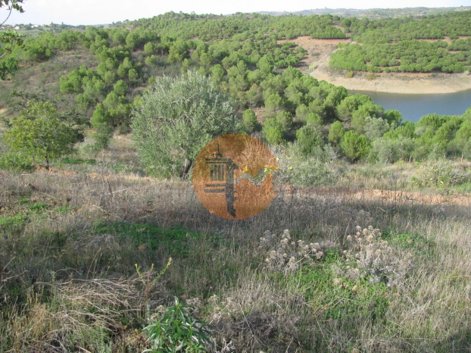 Terreno para Venda em Azinhal Foto 39