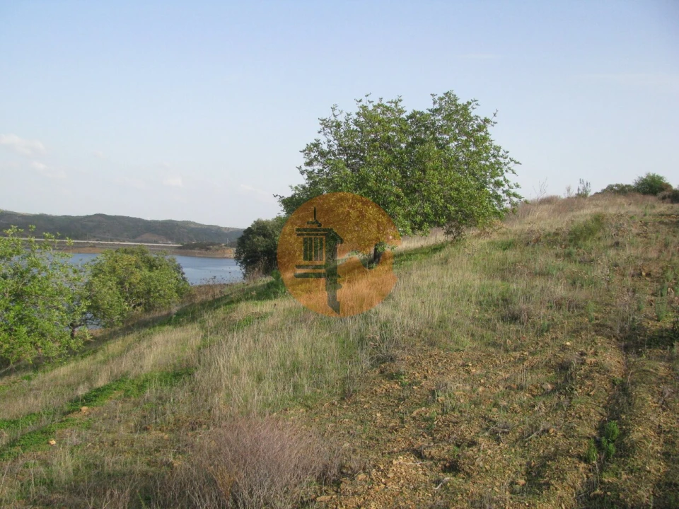 Terreno para Venda em Azinhal Foto 41
