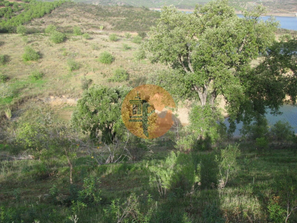 Terreno para Venda em Azinhal Foto 46