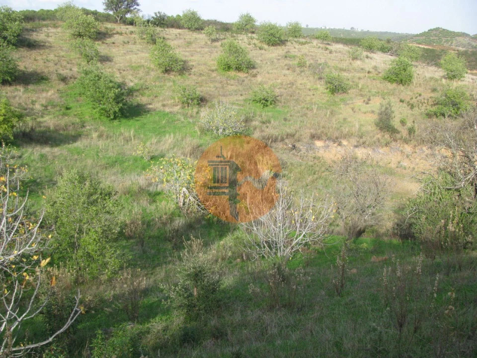 Terreno para Venda em Azinhal Foto 49