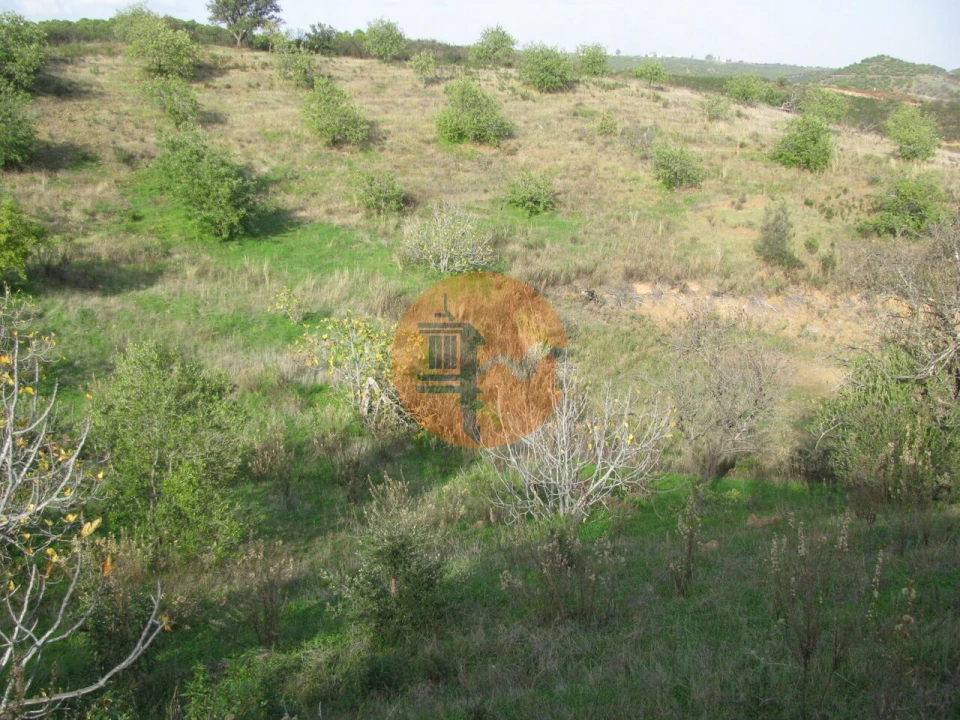 Terreno para Venda em Azinhal Foto 49