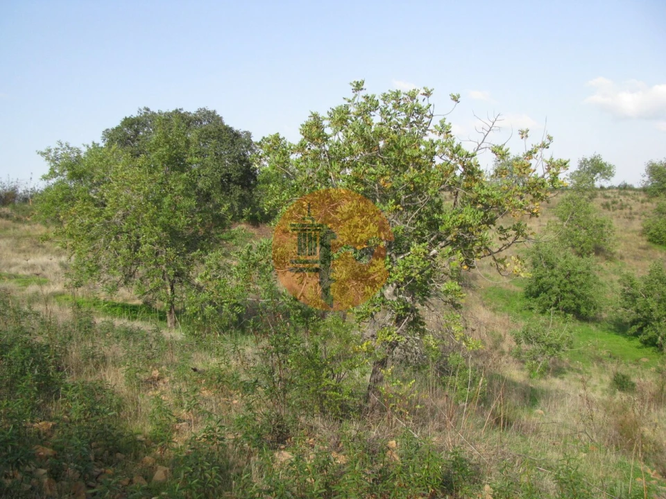 Terreno para Venda em Azinhal Foto 53
