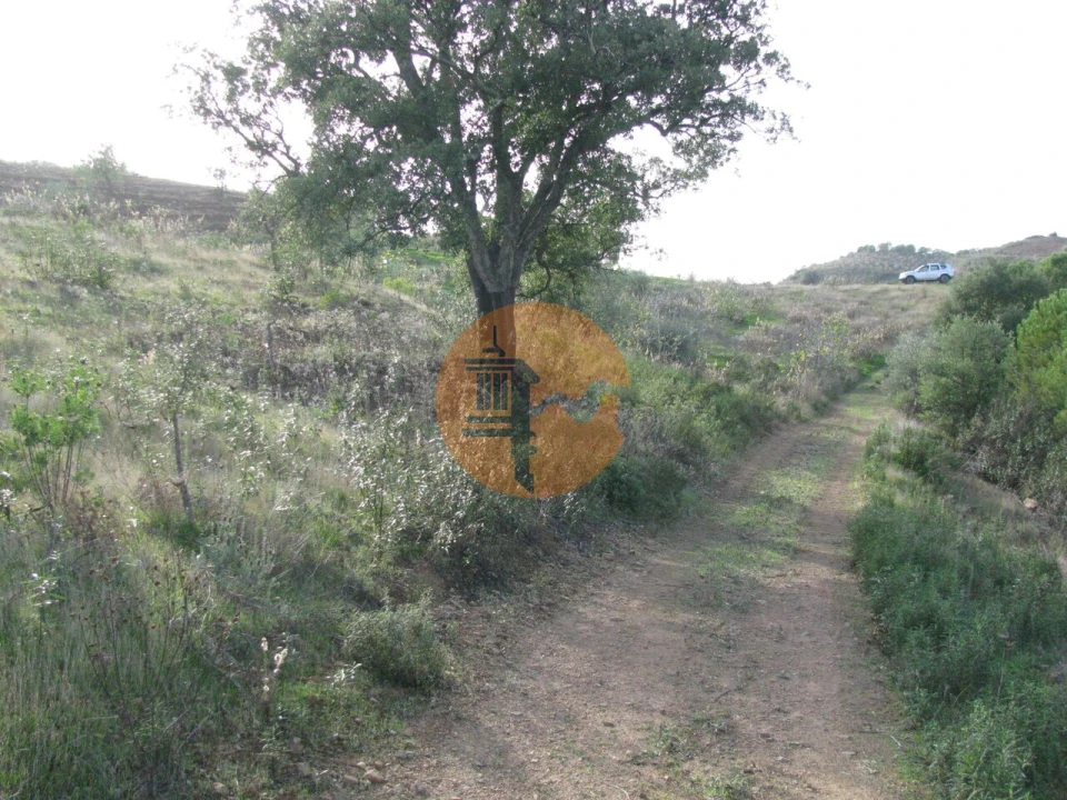 Terreno para Venda em Azinhal Foto 55
