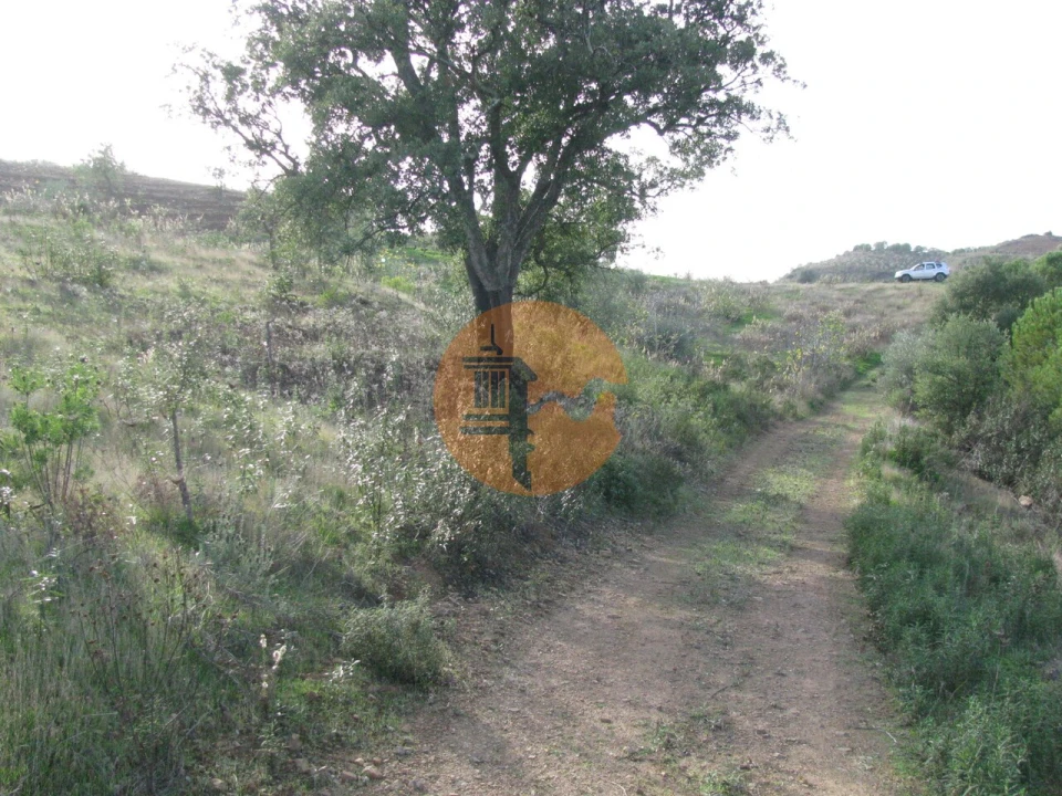 Terreno para Venda em Azinhal Foto 55