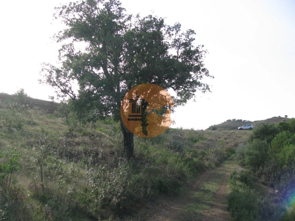 Terreno para Venda em Azinhal Foto 56