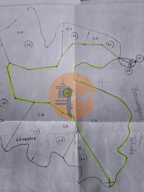 Terreno para Venda em Azinhal