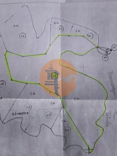 Terreno para Venda em Azinhal