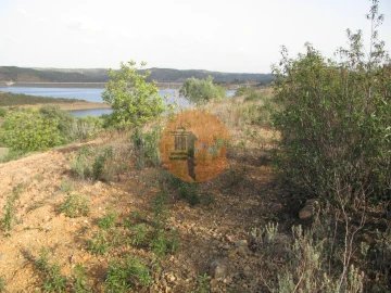 Terreno para Venda em Azinhal