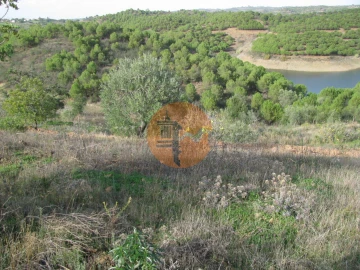 Terreno para Venda em Azinhal