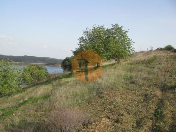 Terreno para Venda em Azinhal