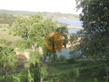 Terreno para Venda em Azinhal