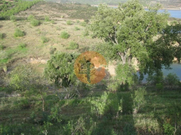 Terreno para Venda em Azinhal