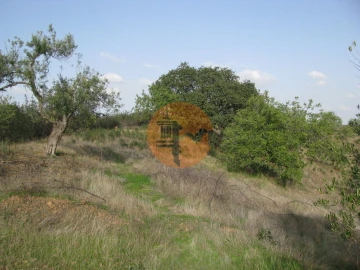 Terreno para Venda em Azinhal