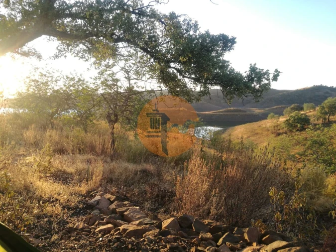 Terreno para Venda em Azinhal Foto 20