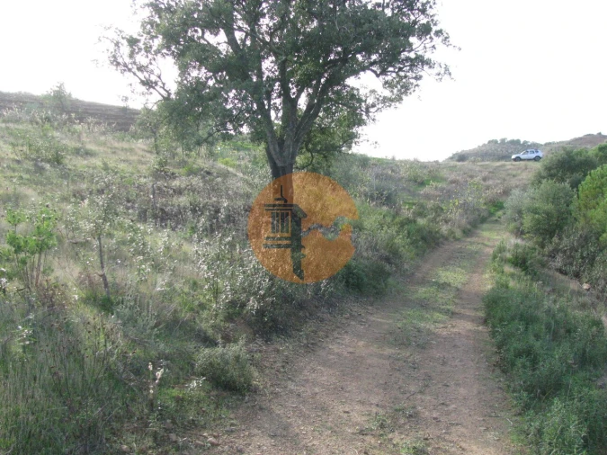 Terreno para Venda em Azinhal Foto 55