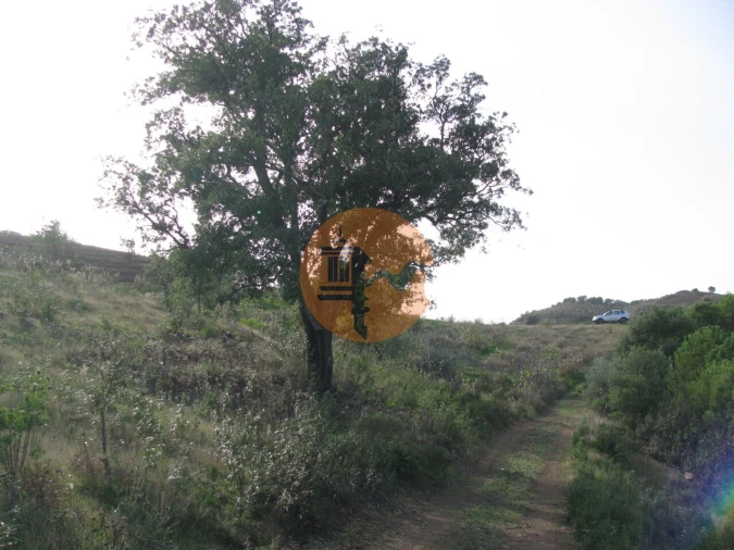 Terreno para Venda em Azinhal Foto 56