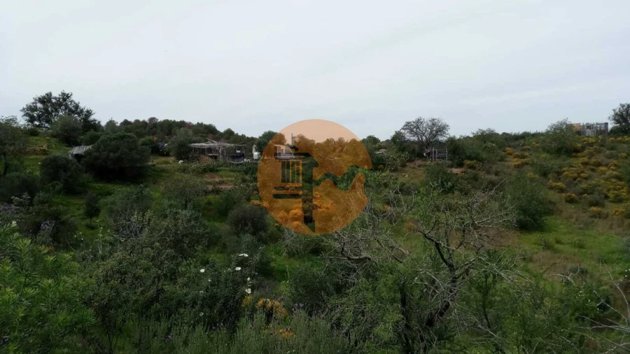 Terreno para Venda em Azinhal Foto 60