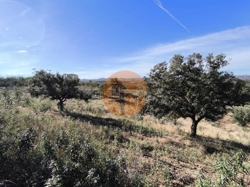 Terreno para Venda em Azinhal Foto 7