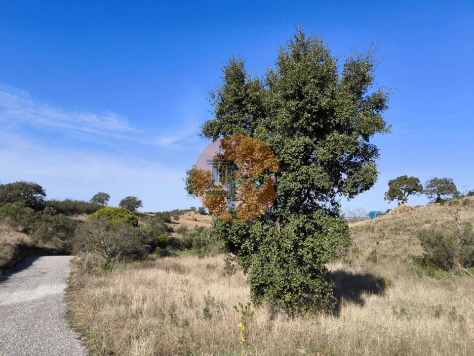 Terreno para Venda em Azinhal Foto 19
