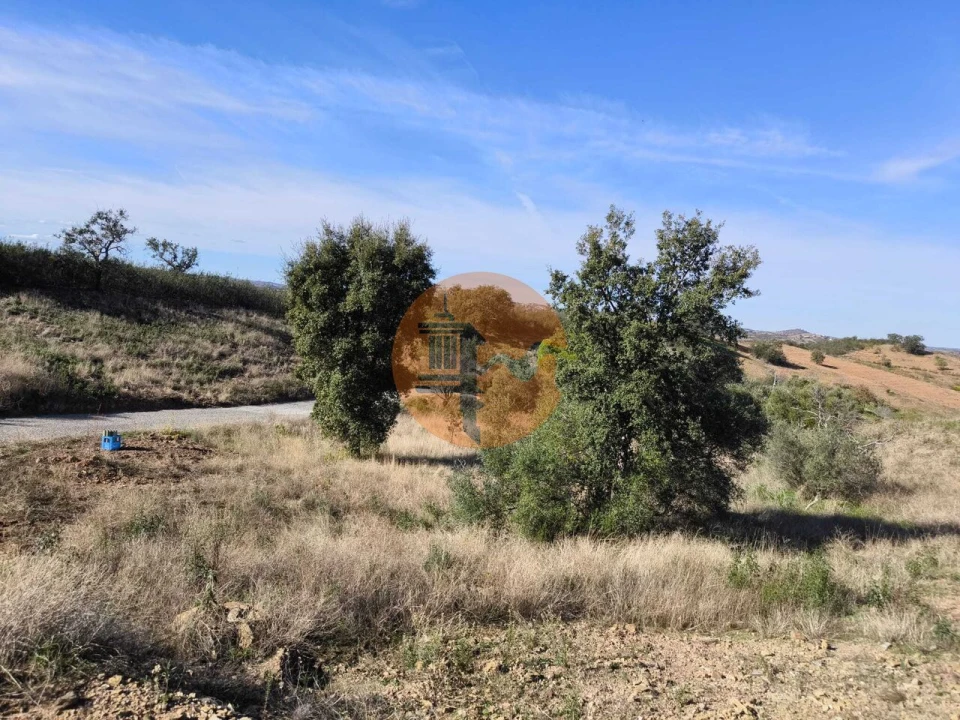 Terreno para Venda em Azinhal Foto 20