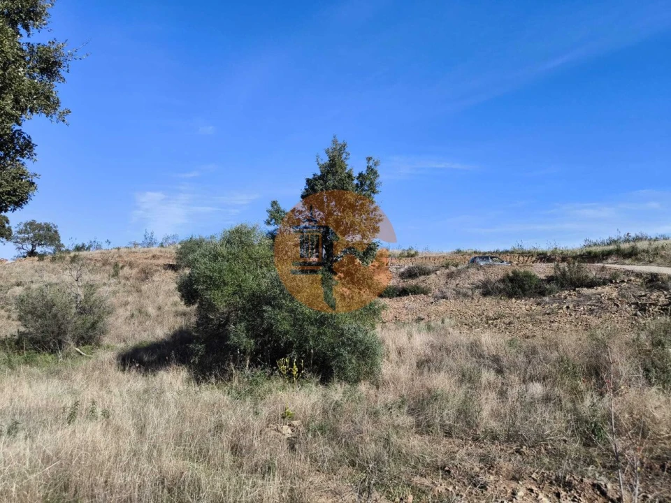 Terreno para Venda em Azinhal Foto 22