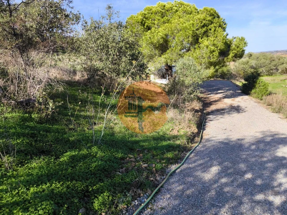 Terreno para Venda em Azinhal Foto 27