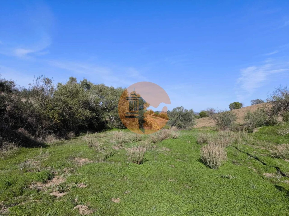 Terreno para Venda em Azinhal Foto 32