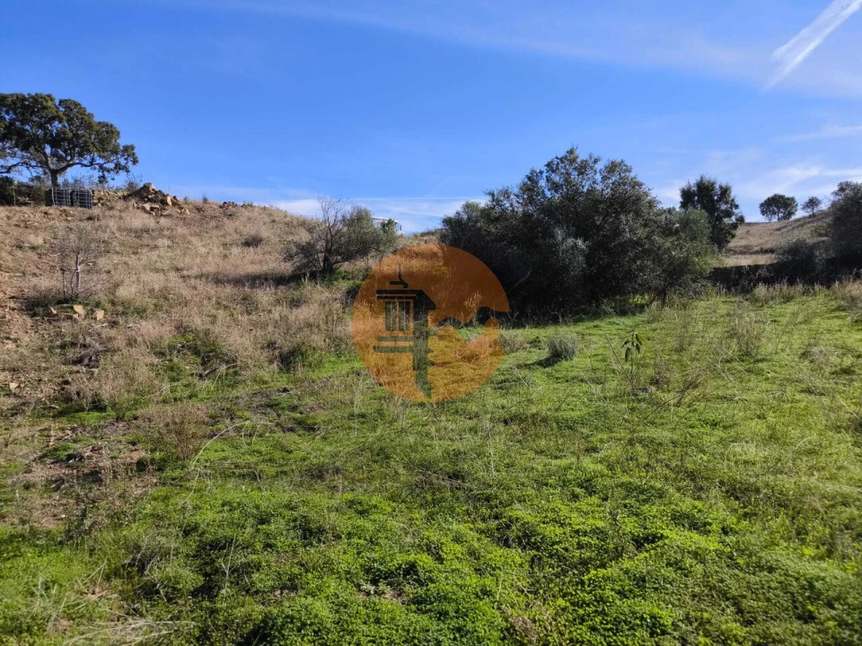 Terreno para Venda em Azinhal Foto 35