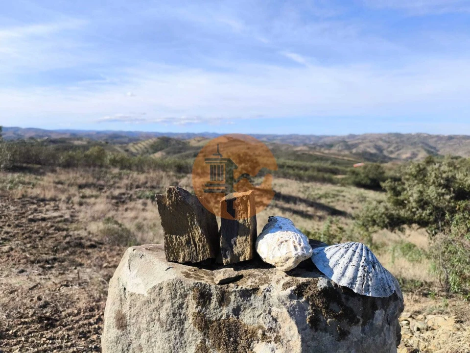 Terreno para Venda em Azinhal Foto 41