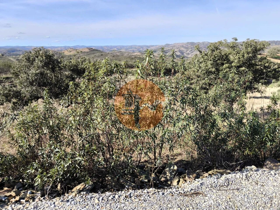 Terreno para Venda em Azinhal Foto 44