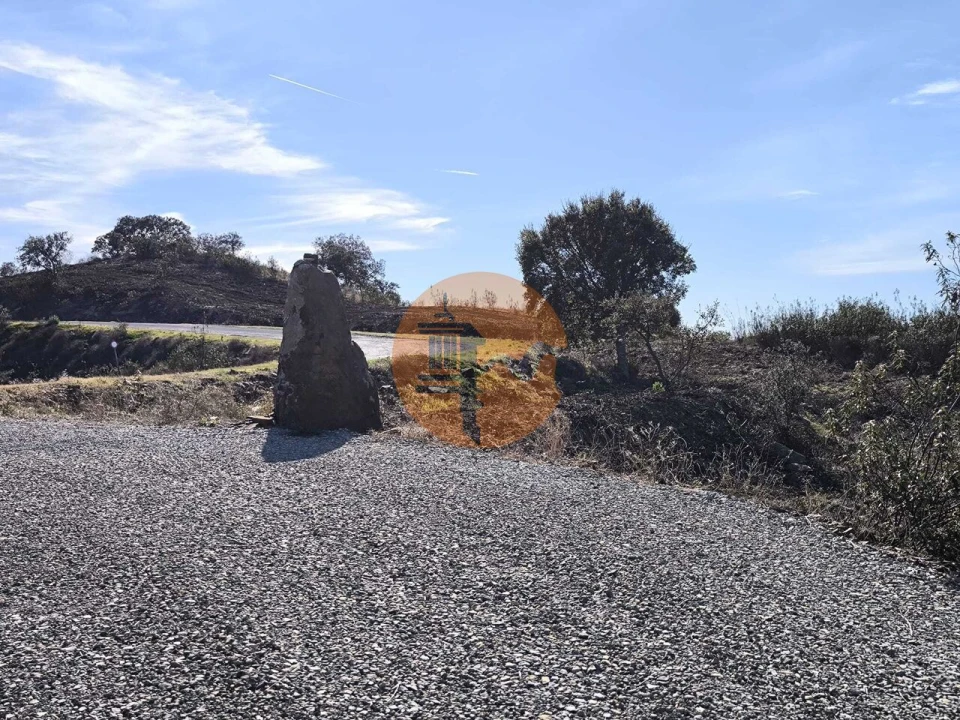 Terreno para Venda em Azinhal Foto 45