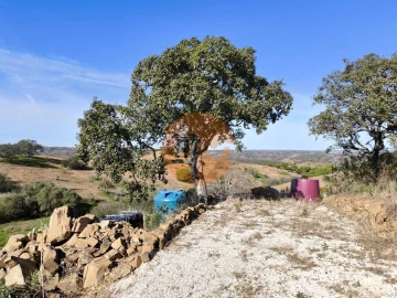 Terreno para Venda em Azinhal