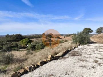 Terreno para Venda em Azinhal