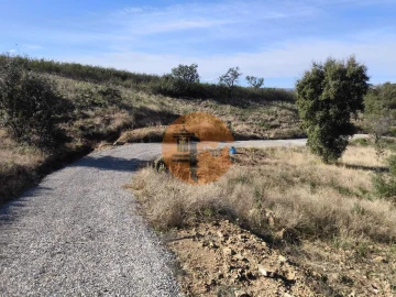 Terreno para Venda em Azinhal